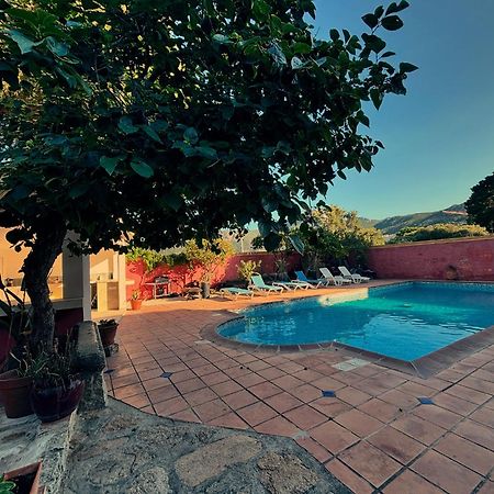 Residence Antonia Appartements Avec Piscine Commune - Centre Ville Calvi カルヴィ エクステリア 写真