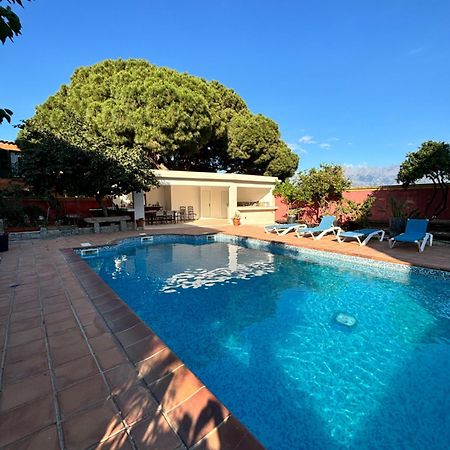Residence Antonia Appartements Avec Piscine Commune - Centre Ville Calvi カルヴィ エクステリア 写真