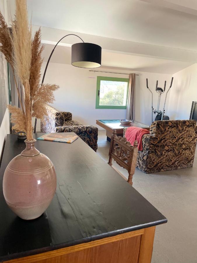 Residence Antonia Appartements Avec Piscine Commune - Centre Ville Calvi カルヴィ エクステリア 写真