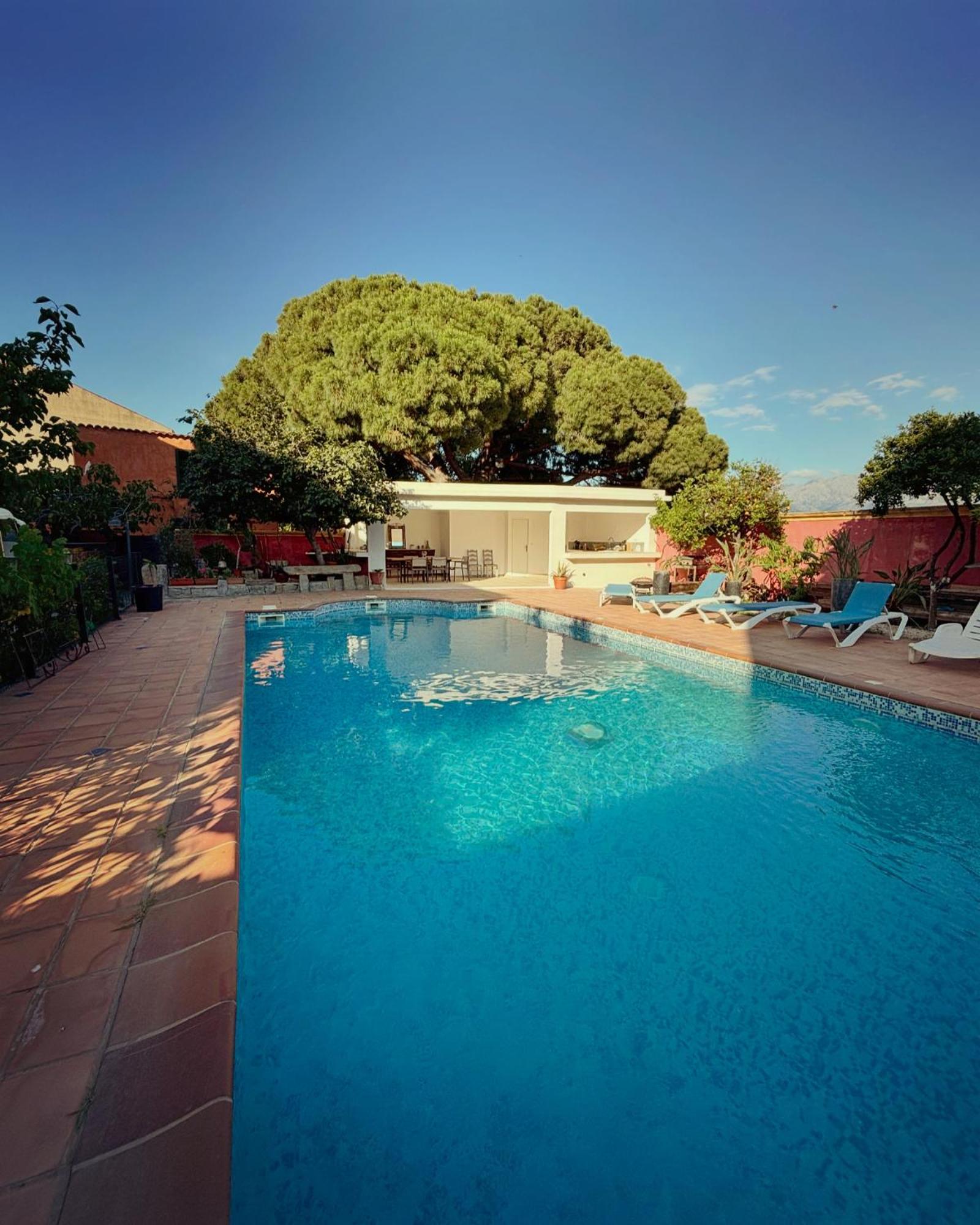 Residence Antonia Appartements Avec Piscine Commune - Centre Ville Calvi カルヴィ エクステリア 写真