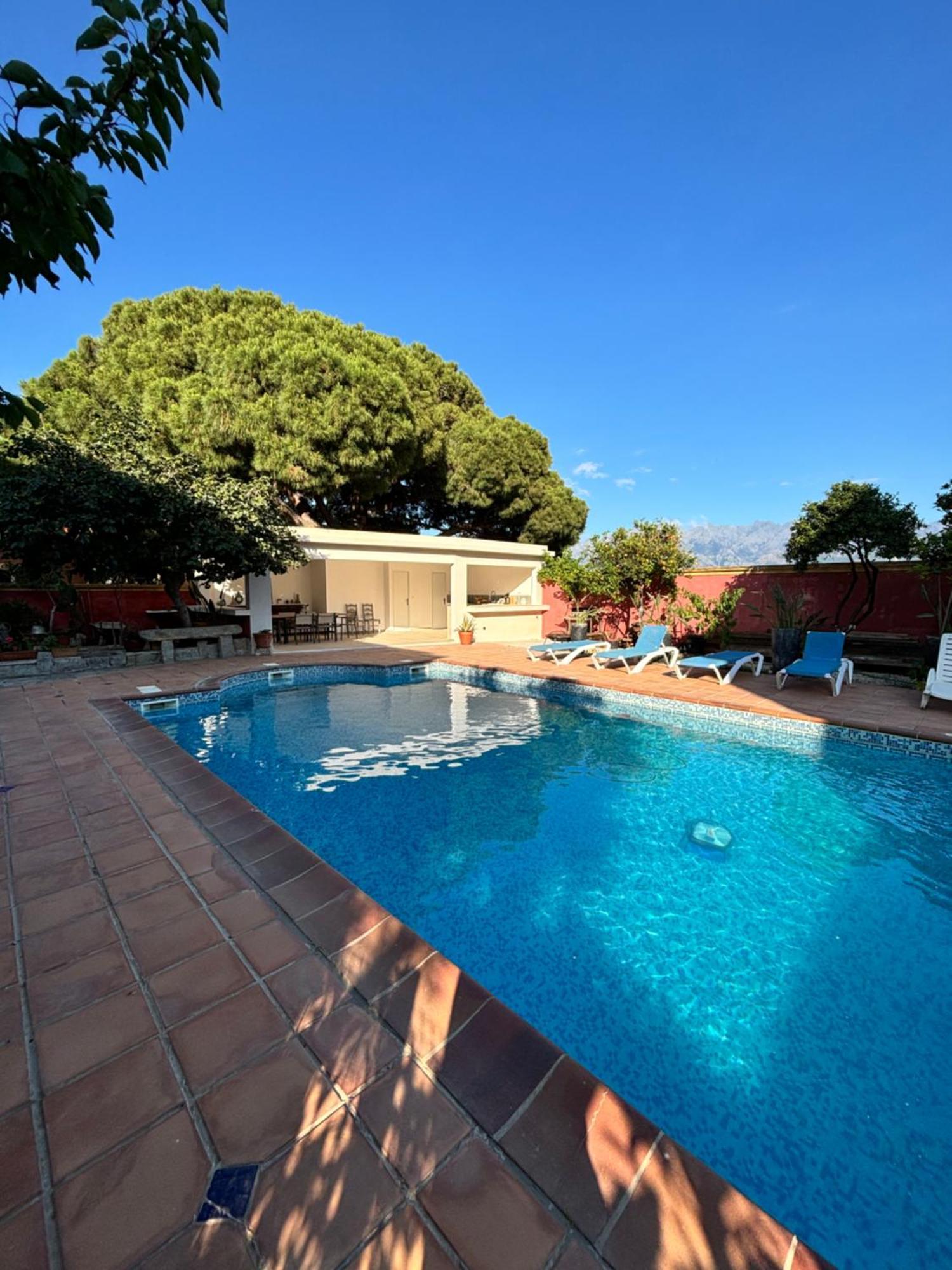 Residence Antonia Appartements Avec Piscine Commune - Centre Ville Calvi カルヴィ エクステリア 写真