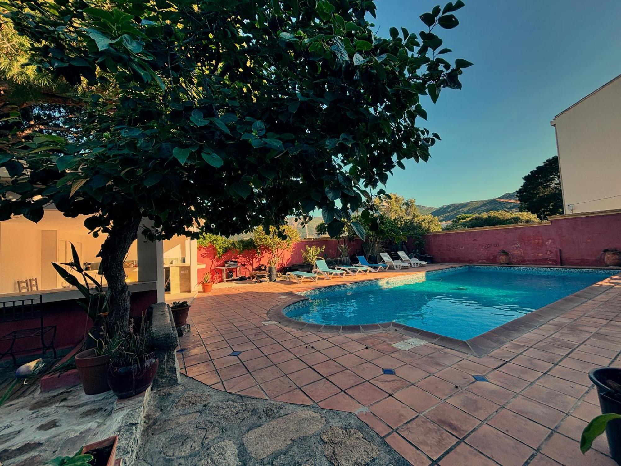 Residence Antonia Appartements Avec Piscine Commune - Centre Ville Calvi カルヴィ エクステリア 写真